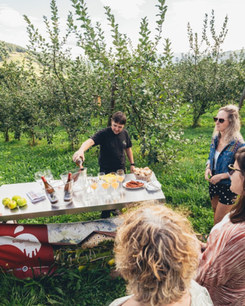 VISITA Y COMIDA EN LA SIDRERÍA OIHARTE